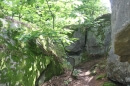 forêt des 3 Pignons
